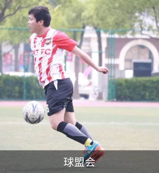 球盟会介绍